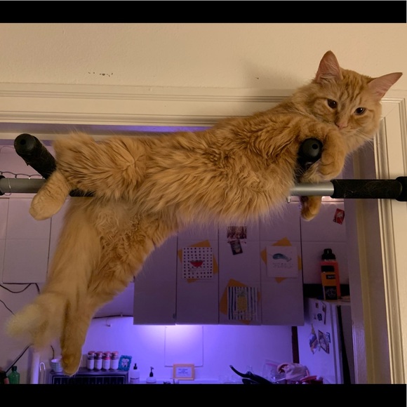 paigelyainsley